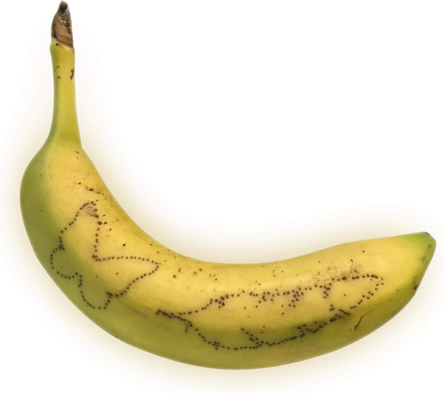 Science4you Tattoo Starter Kit
