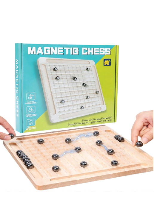 Magnetic Chess
