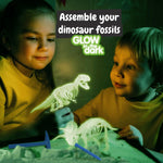 Science4you Dinosaur Fossil Excavation Kit 2 in 1 - Glow-in-the-dark Fossil Digging Kit
