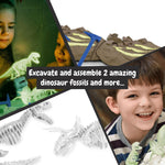 Science4you Dinosaur Fossil Excavation Kit 2 in 1 - Glow-in-the-dark Fossil Digging Kit