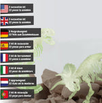 Science4you Dinosaur Fossil Excavation Kit 2 in 1 - Glow-in-the-dark Fossil Digging Kit