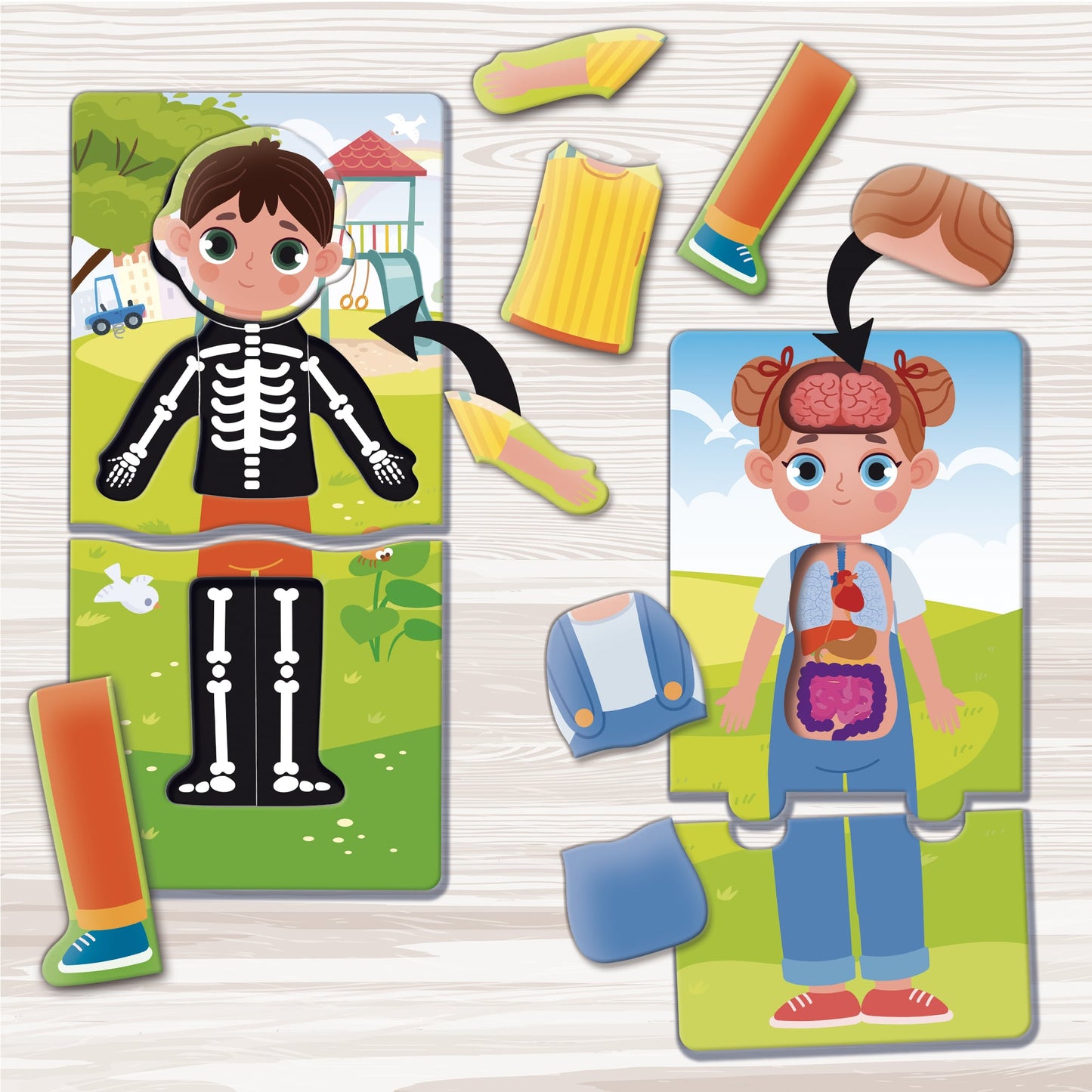 Lisciani Montessori baby doctor
