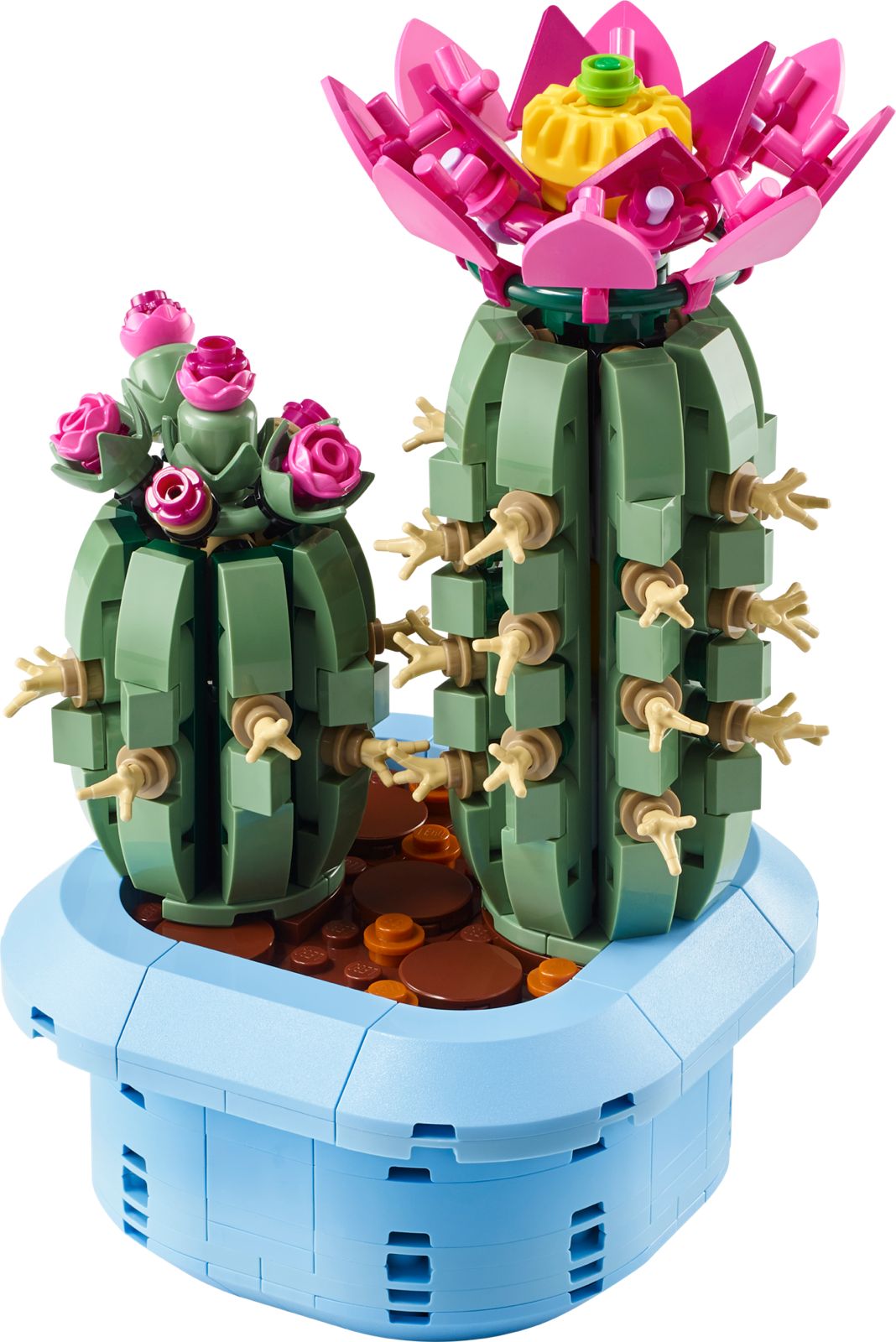 LEGO Botanicals Flowering Cactus 11509 – 482 Pieces