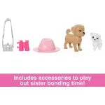 Mattel Barbie & Stacie Doll Set With 2 Pet Dogs & Accessories