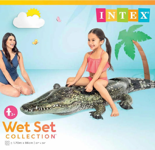 Intex Gator 1.70 x 86cm