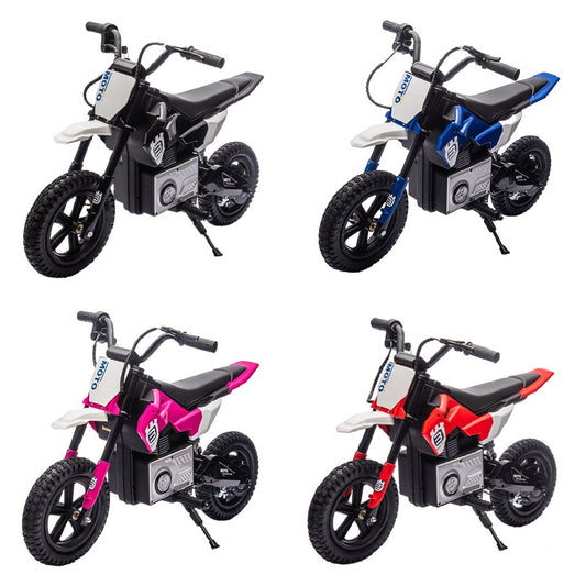 Electric Dirt Bike Ride-on