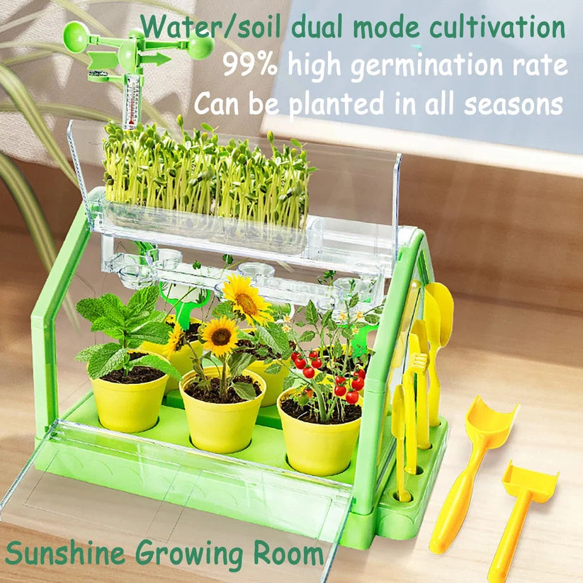 Planting Sunlight Room 101774