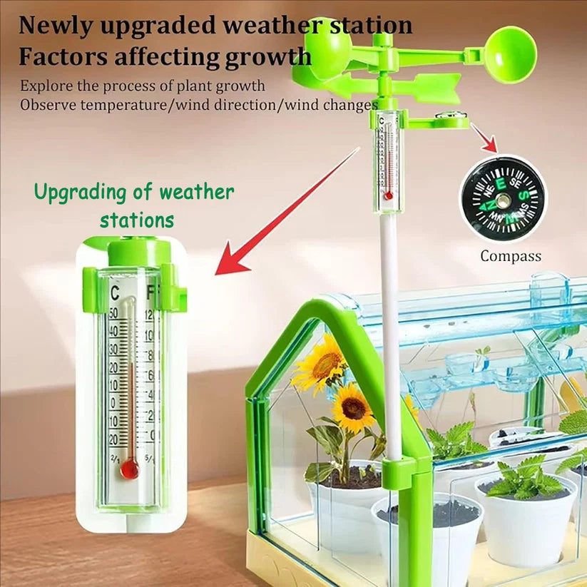 Planting Sunlight Room 101774