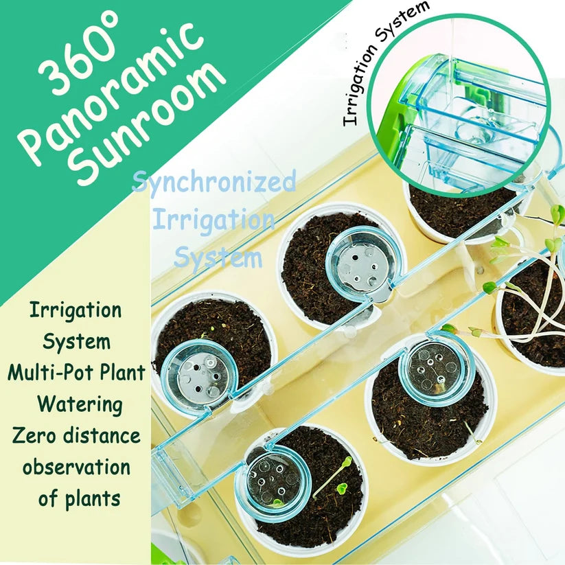 Planting Sunlight Room 101774