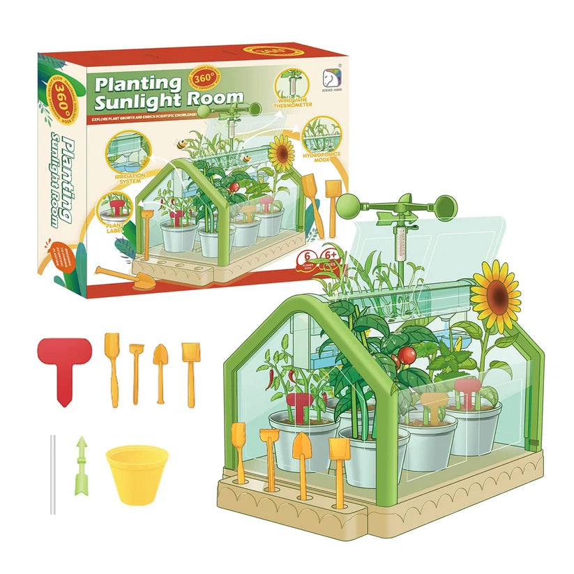 Planting Sunlight Room 101774